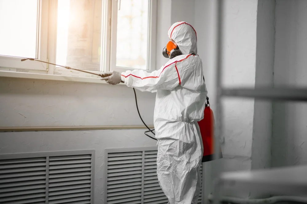 Professional mold remediation services in Pratts, VA